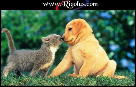 l amour c est cultiver ses differences!!!